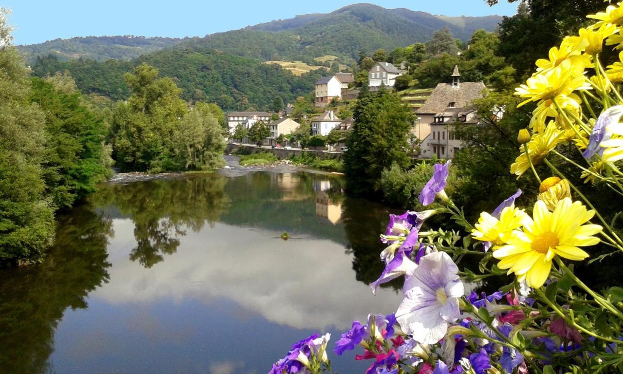 L'Oustalou - Gite Entre Lot Et Truyere Apartment Entraygues-sur-Truyère Екстериор снимка